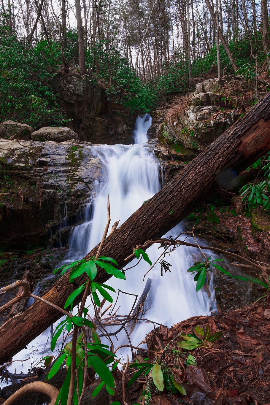 waterfalls timelapse photo, river, nature, outdoors, stream, bird HD wallpaper