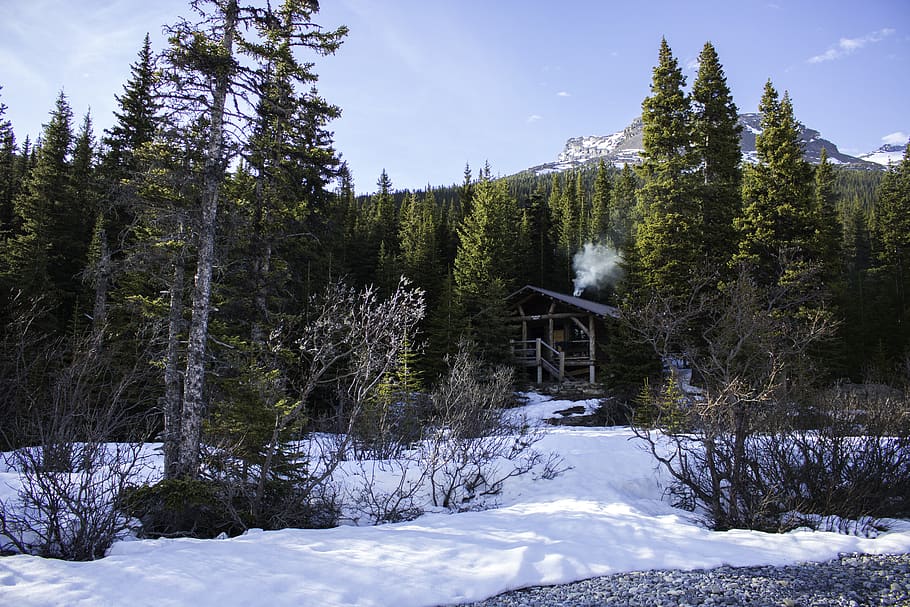 canada, mount robson, snow, mountain, trees, wood, smoke, cabin HD wallpaper
