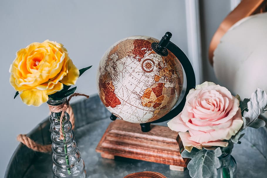 Photo Of A Globe, bloom, blossom, flora, map, petals, roses, world HD wallpaper