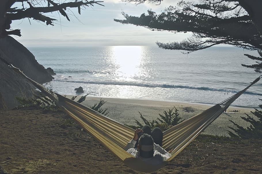 united states, pacifica, gray whale cove trail, tree, swing