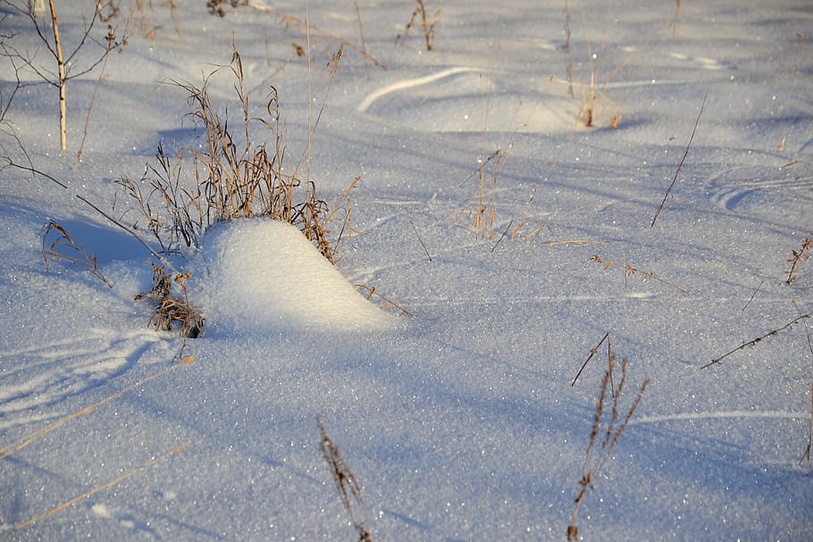 winter, snow, field, nature, footprints in the snow, snowdrifts HD wallpaper