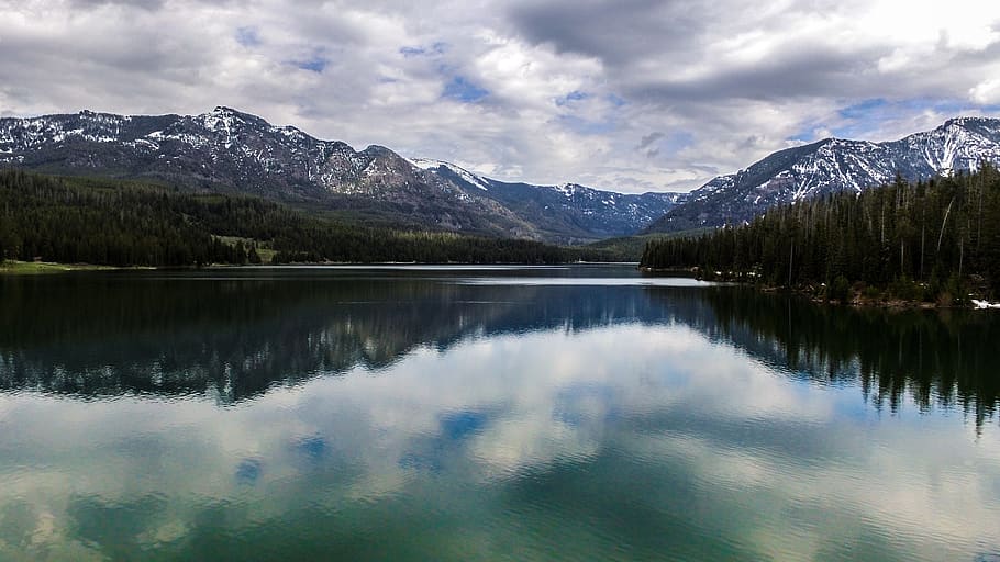 united states, hyalite canyon, forest, montana, woods, wilderness, HD wallpaper