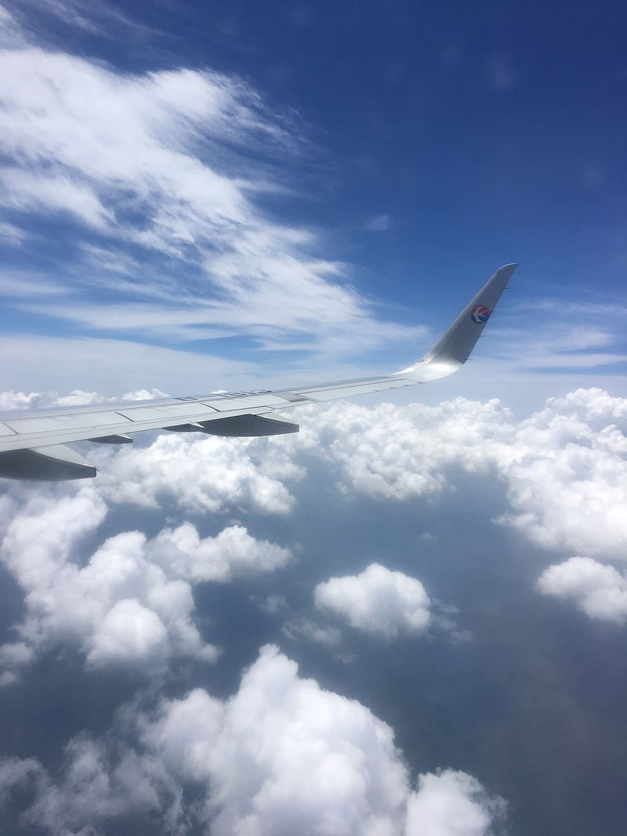 clouds, plane, sky, cloud - sky, airplane, transportation, air vehicle HD wallpaper