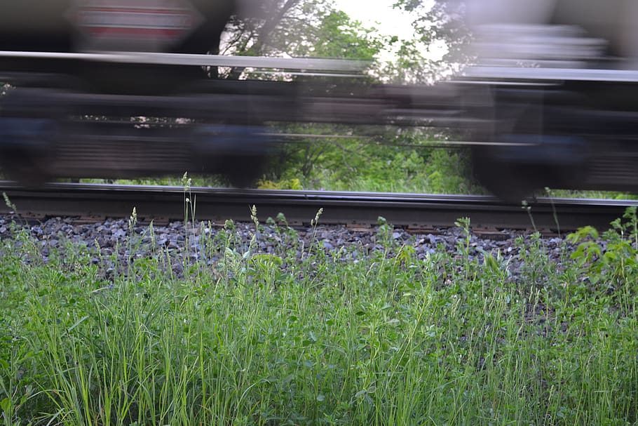 motion, train, train tracks, movement, rumbles, nature meets steel HD wallpaper