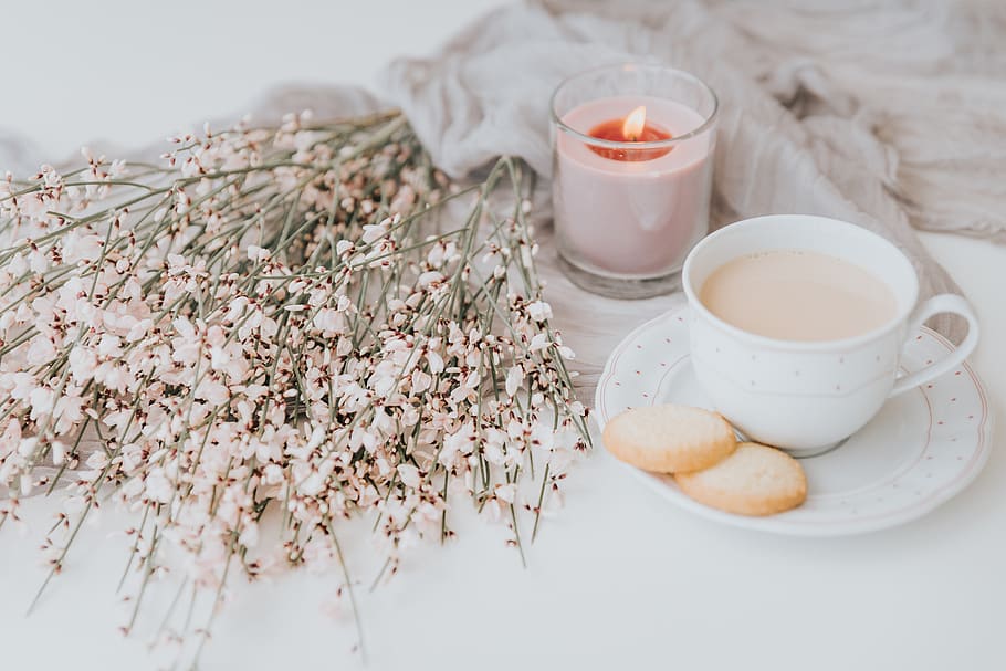 white ceramic cup on table, candle, plant, pottery, saucer, confectionery HD wallpaper