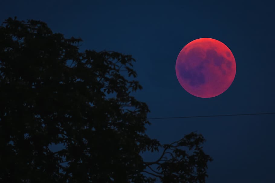 blood moon, lunar eclipse, full moon, moonlight, night, mystical, HD wallpaper