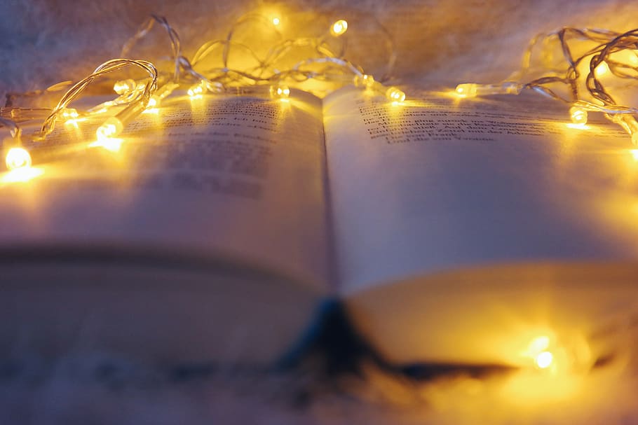 lights, christmas, book, warm, cozy, christmas lights, illuminated HD wallpaper