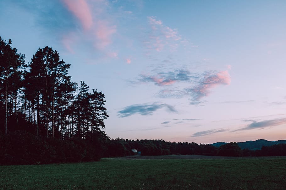 bavaria, sky, evening, sundown, purple, clouds, forest, mood HD wallpaper