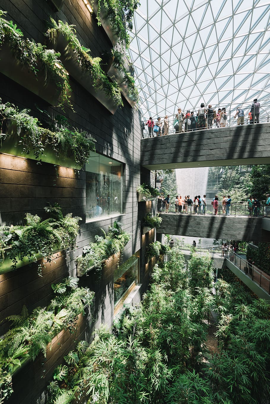 people standing inside Amazon building, built structure, architecture HD wallpaper