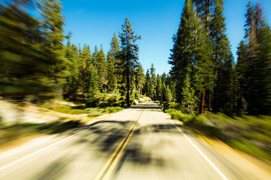 united states, sequoia national park, drive, travel, roadtrip, HD wallpaper