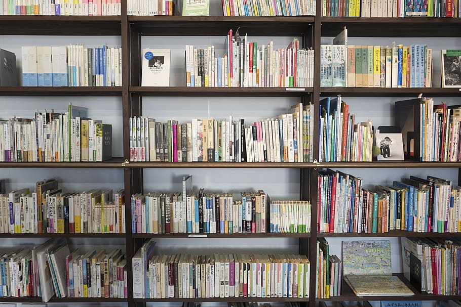 book, novel, read, library, shelf, author, pages, large group of objects HD wallpaper