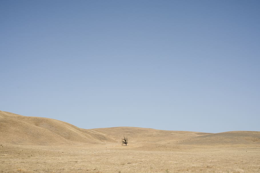sand dune under blue sky, land, desert, landscape, environment HD wallpaper