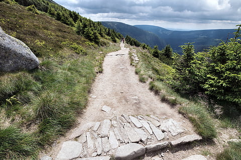 Hiking trail in the mountains, plant, beauty in nature, direction HD wallpaper