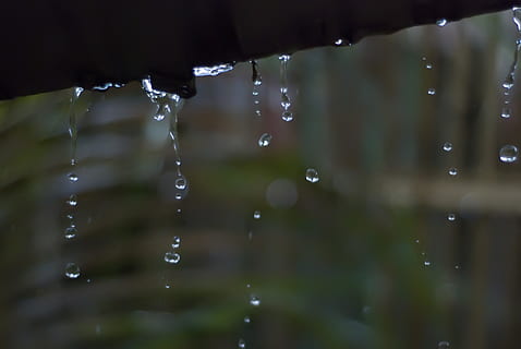 cambodia, rain, rainfall, rain drop, green, dark, water, close-up HD wallpaper