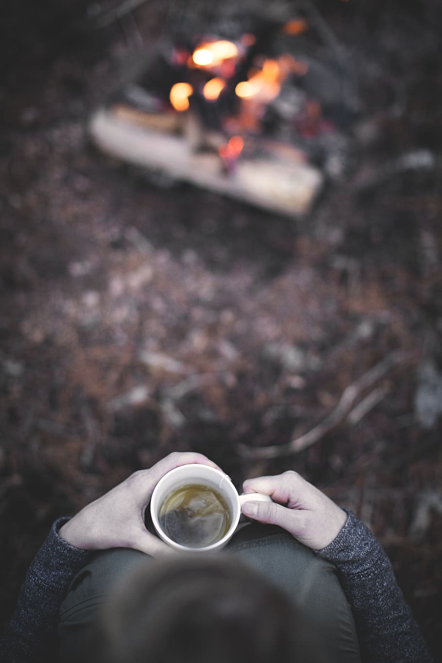 person holding mug filled with tea near bonfire, cup, coffee cup, HD wallpaper