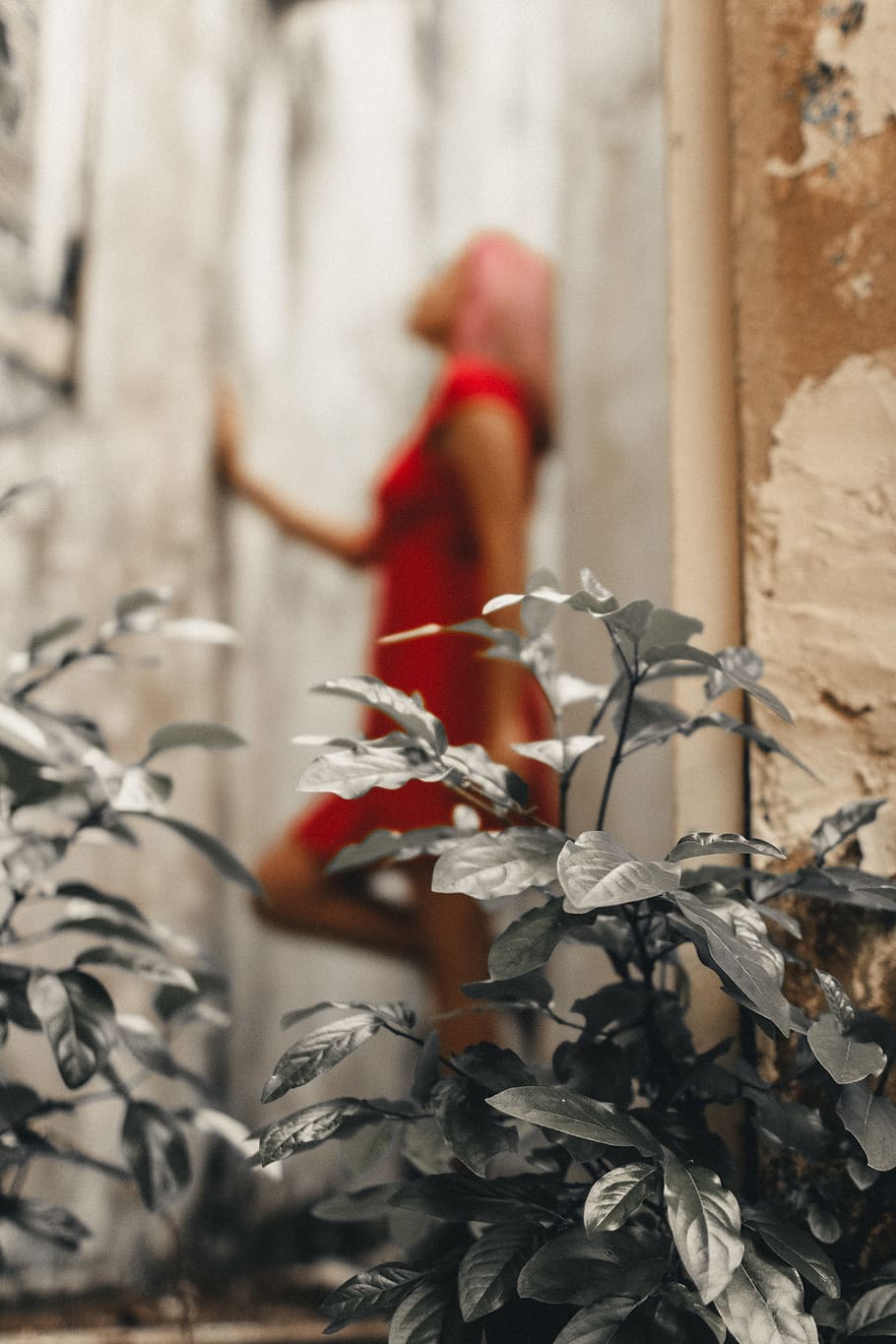 Woman Standing, blurred background, bright, close-up, colors HD wallpaper