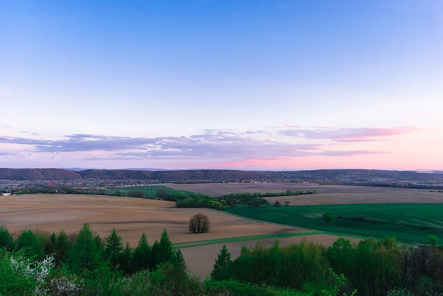 poland, landscape, tree, clouds, forest, twilight, grass, nature HD wallpaper