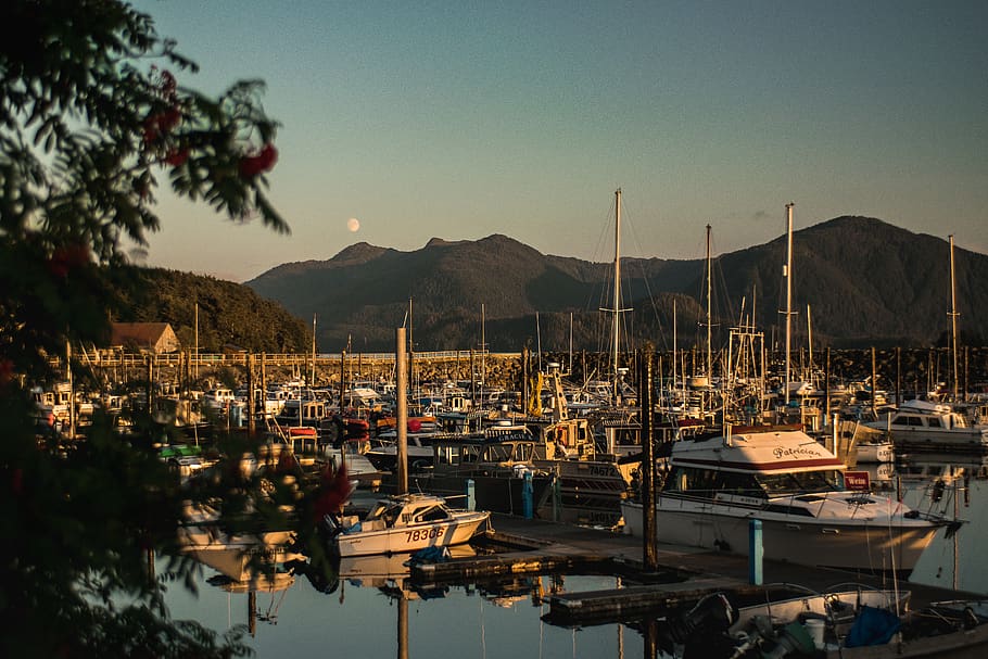 Discovering the Rich History of Sitka  ALASKAORG