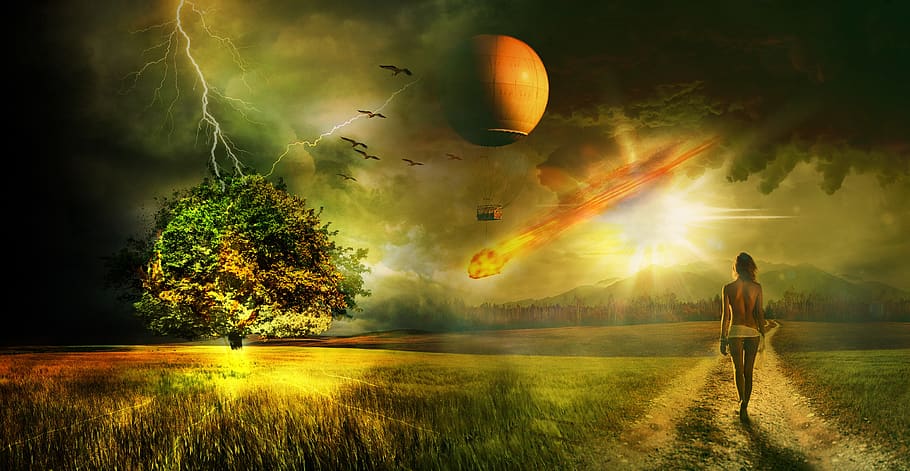 disaster, typhoon, cyclone, hurricane, woman, plant, one person HD wallpaper