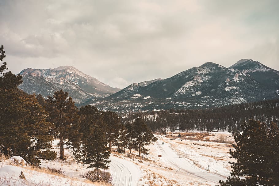 mountain ranges, tree, plant, nature, outdoors, fir, abies, peak HD wallpaper