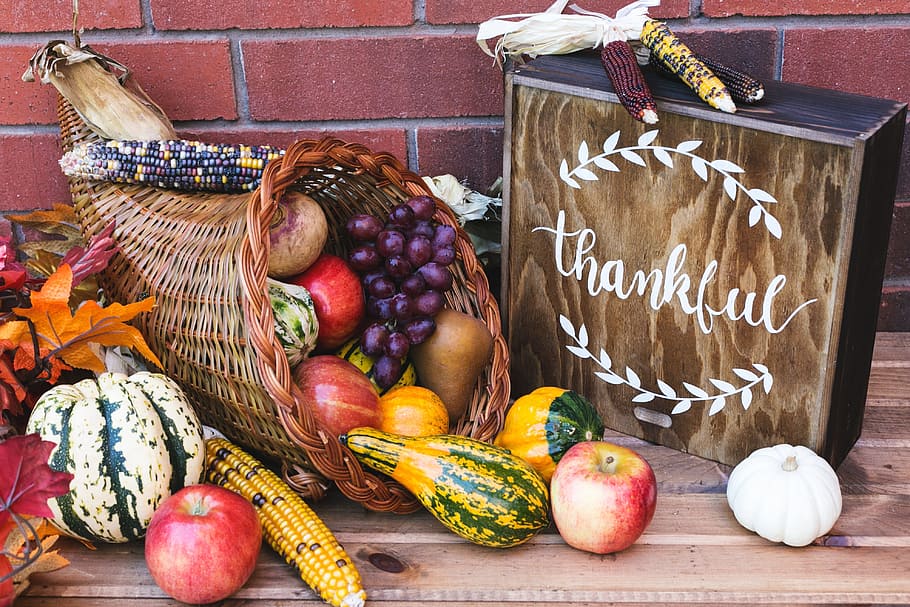 Thanksgiving Cornucopia Photo, Fruit, Vegetables, food and drink, HD wallpaper