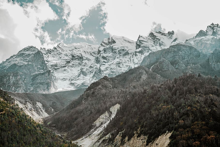 Green Trees and Mountain Ranges during Winter, cold, glacier HD wallpaper