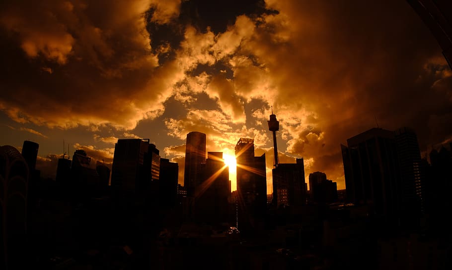 sydney, skyline, tower, sunset, evening sun, architecture, dusk HD wallpaper