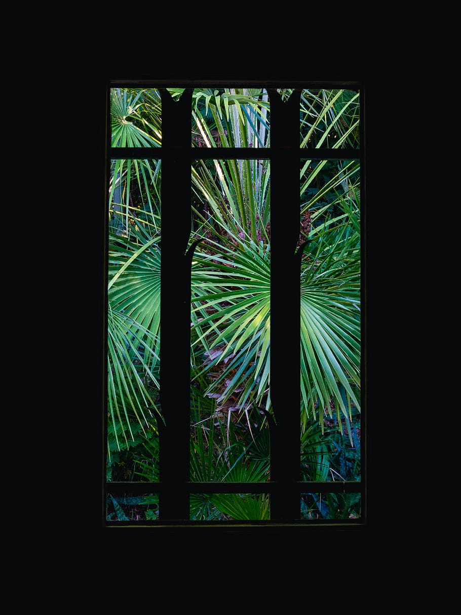 background, wallpaper, view, window, nature, summer vibes, shadow HD wallpaper