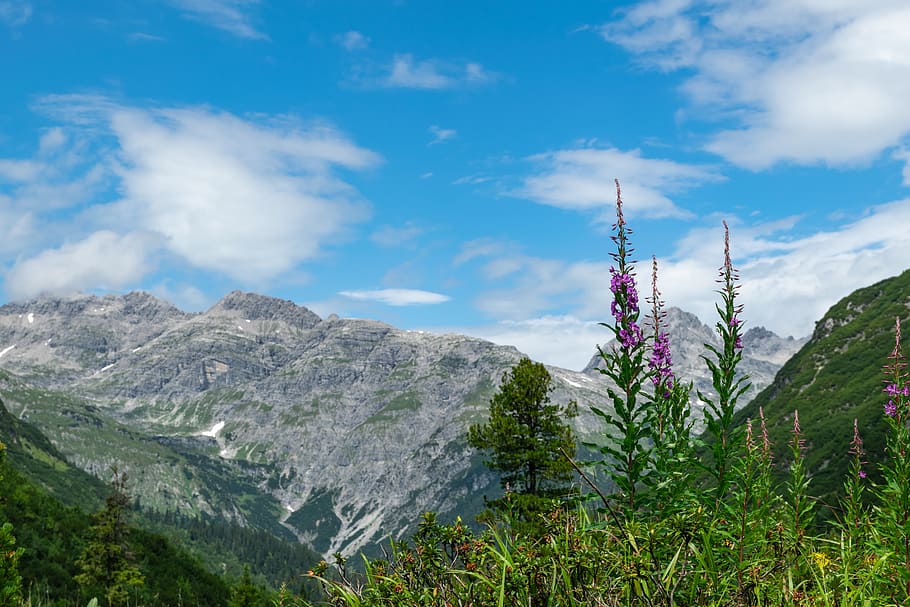 lech, lech valley, alpine, austria, vorarlberg, summer, mountain HD wallpaper