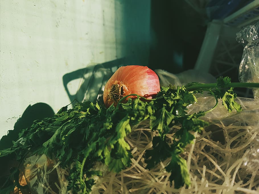 an onion, plant, vegetable, food, pumpkin, burger, jar, pottery HD wallpaper