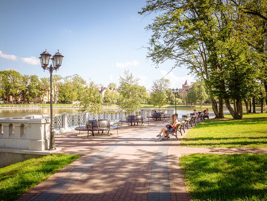 street, trees, lanterns, city, city park, green park, trees park HD wallpaper