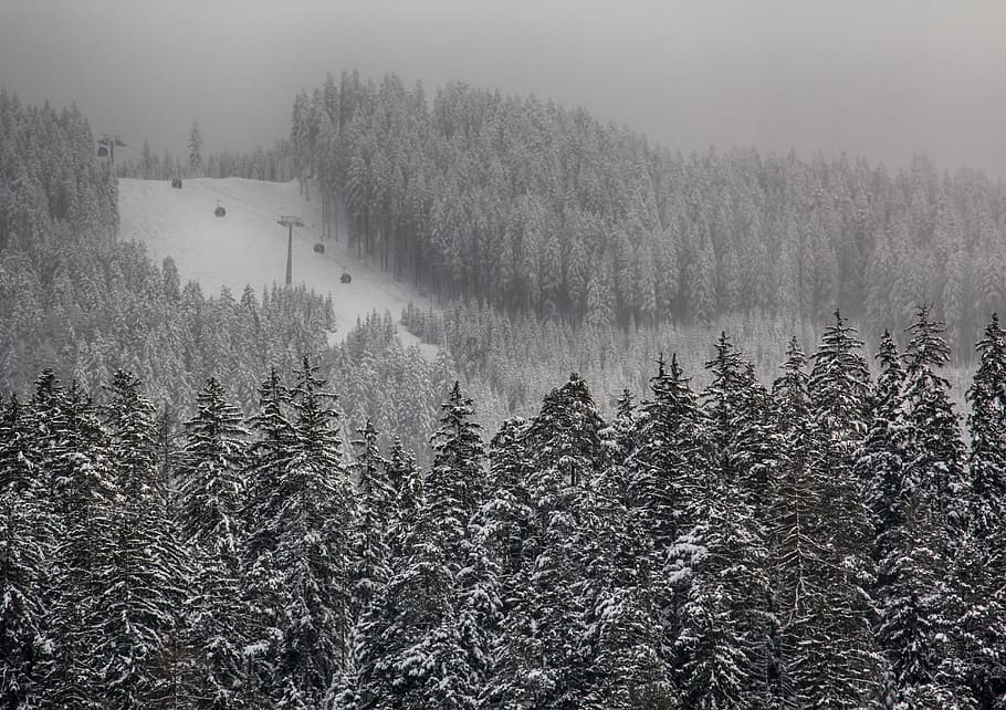 winter, snow, nature, cold, landscape, wintry, mountains, outdoors HD wallpaper