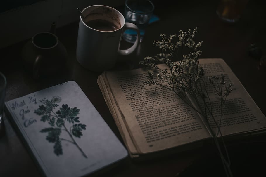 White Flower on Book, beautiful flower, book bindings, book series, HD wallpaper