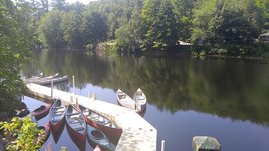 river, boat, canoe, dock, sun, nature, summer, water, tree HD wallpaper