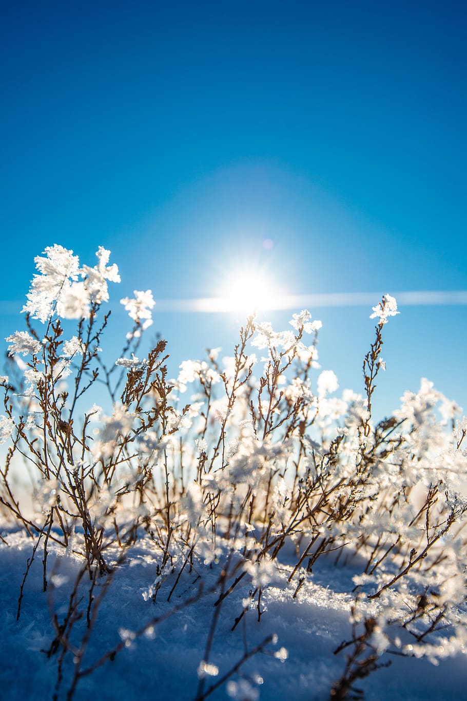 winter, snow, cold, mountain, sky, frozen, outdoors, snowflake HD wallpaper