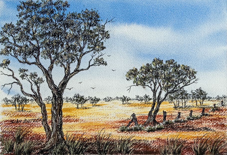 trees during daytime painting, plant, tree trunk, ground, australia HD wallpaper