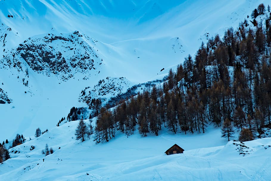 Snow Covered Mountain, cold, environment, forest, zing, frosty HD wallpaper