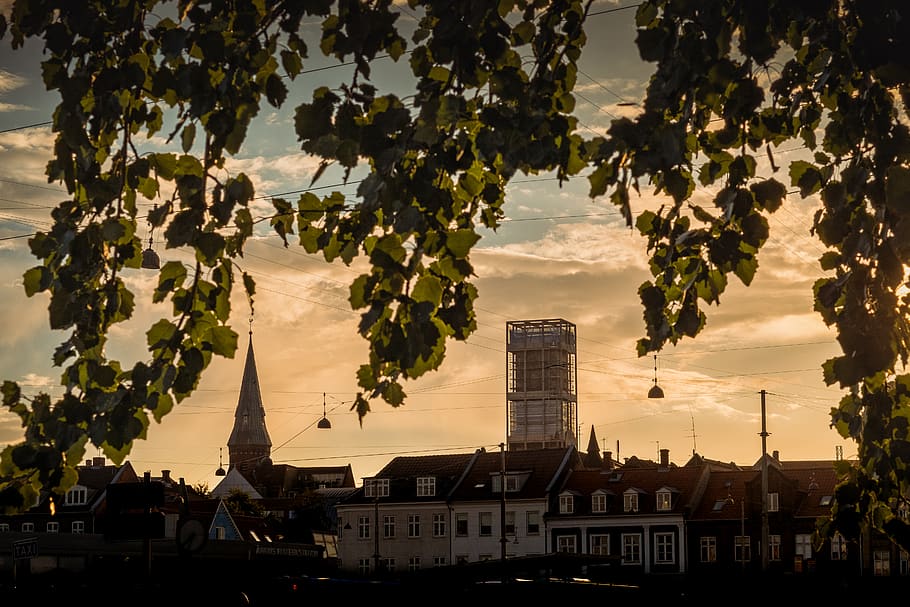 aarhus, denmark, århus, trees, skyline, city, houses, building HD wallpaper