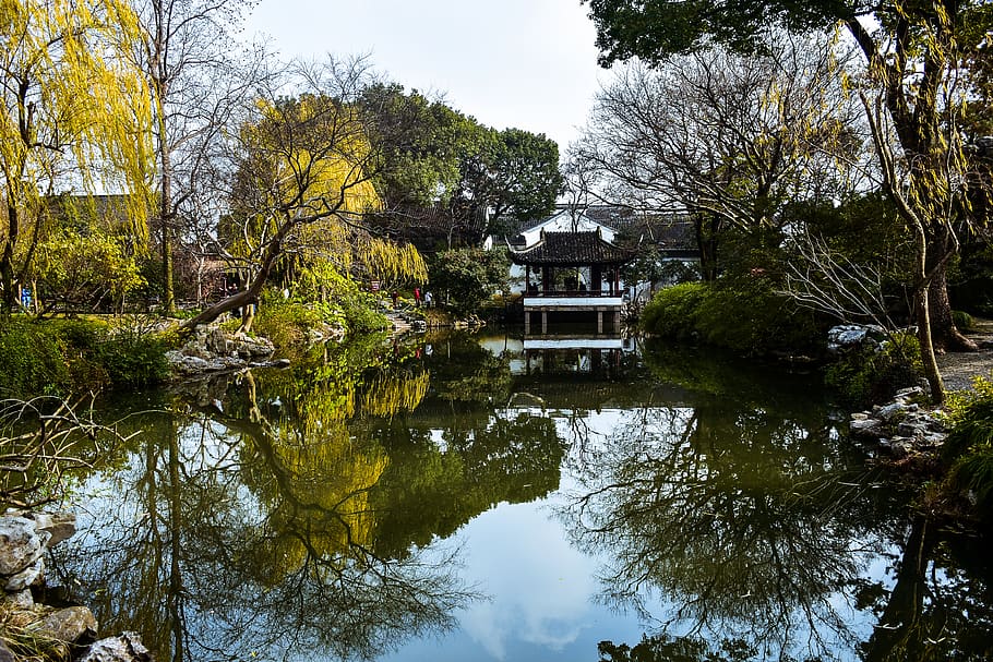 green-leafed trees, nature, water, outdoors, pond, suzhou, land HD wallpaper
