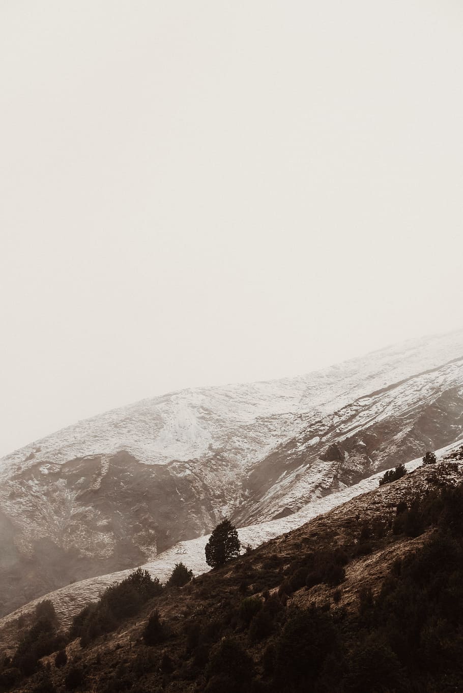 Winter Layers, mountain, fog, tree, hilside, snow, mist, nature HD wallpaper