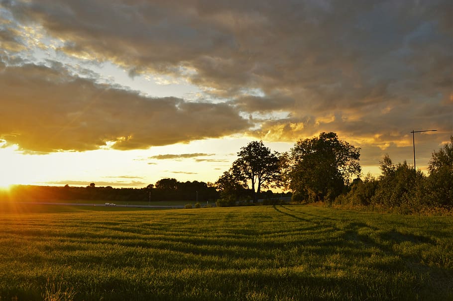 sweden, trees, forest, sunset, cloud, cloudy, summer, sky, cloud - sky HD wallpaper