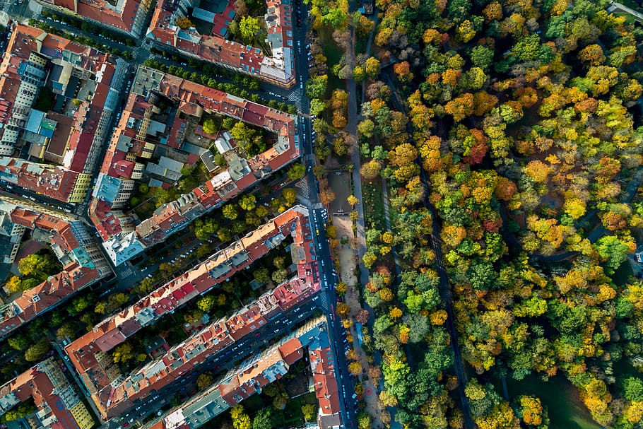 Amazing view on the historic buildings of Prague and autumn park. Aerial view. HD wallpaper