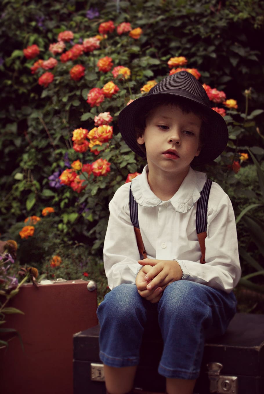 Boy Wearing Black Hat Sitting on Case Near Flowers, angry, child HD wallpaper