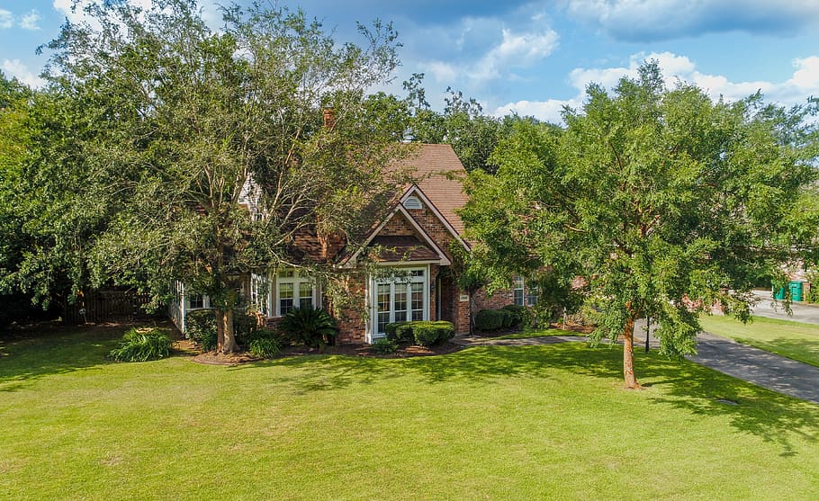 house, drone, sky, dji, architecture, plant, tree, built structure HD wallpaper