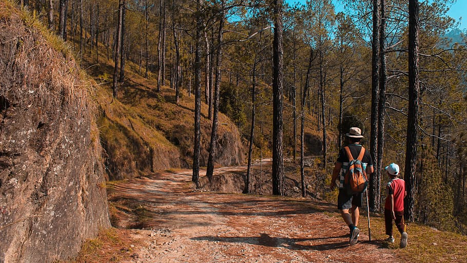 Man and Kid Walking on Downhill, 4k wallpaper, adult, backpacker HD wallpaper