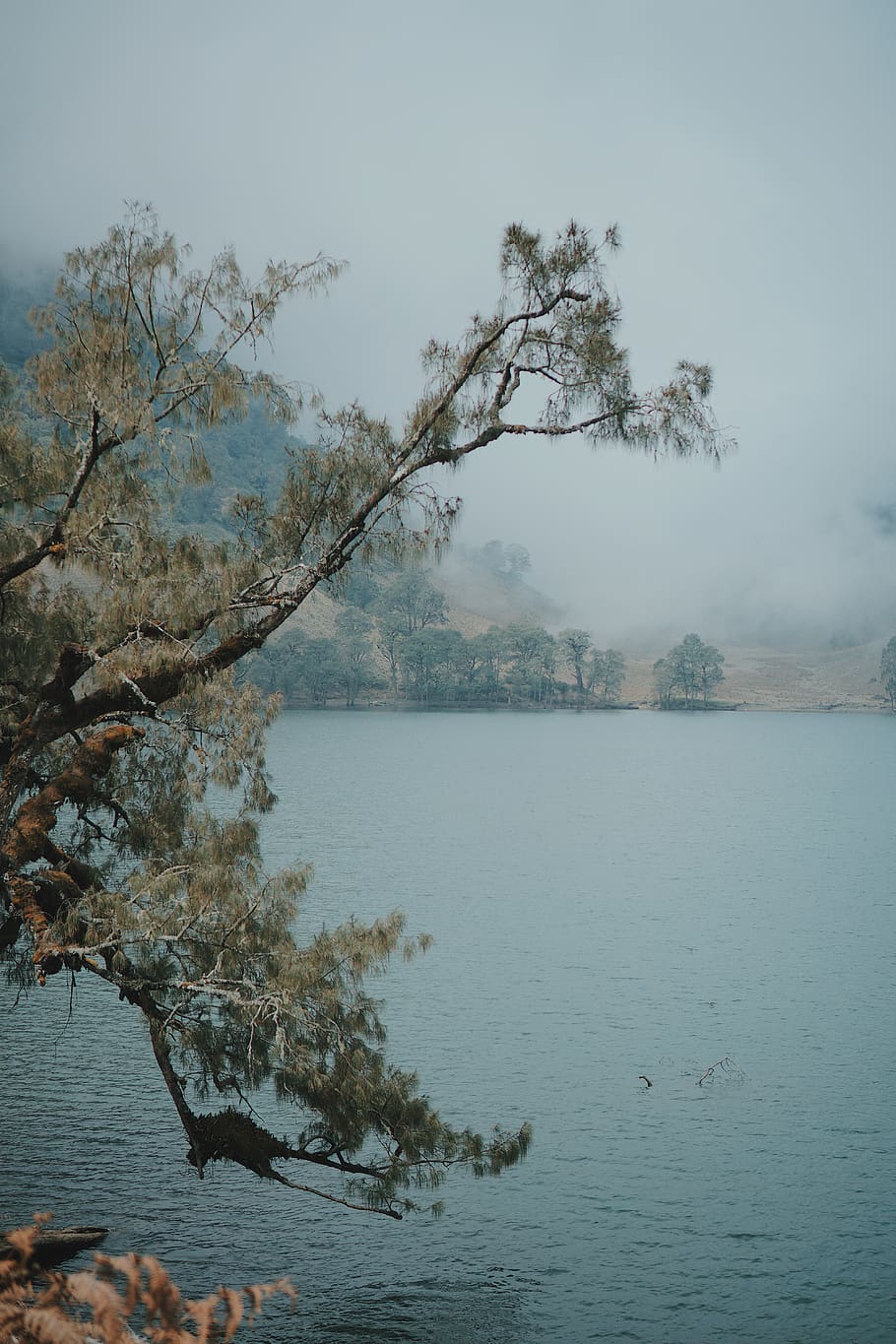 semeru, indonesia, lake, mountain, water, tree, tranquility, HD wallpaper