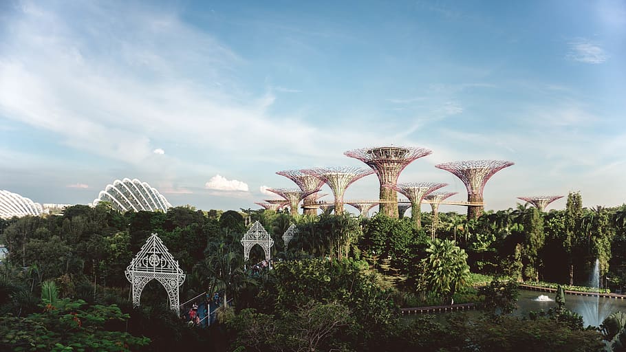 green-leafed trees under clear sky, plant, built structure, nature HD wallpaper