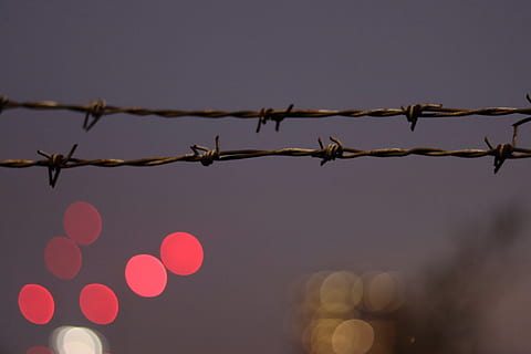 gray barb wire, barbed wire, london, bird, animal, light, night HD wallpaper