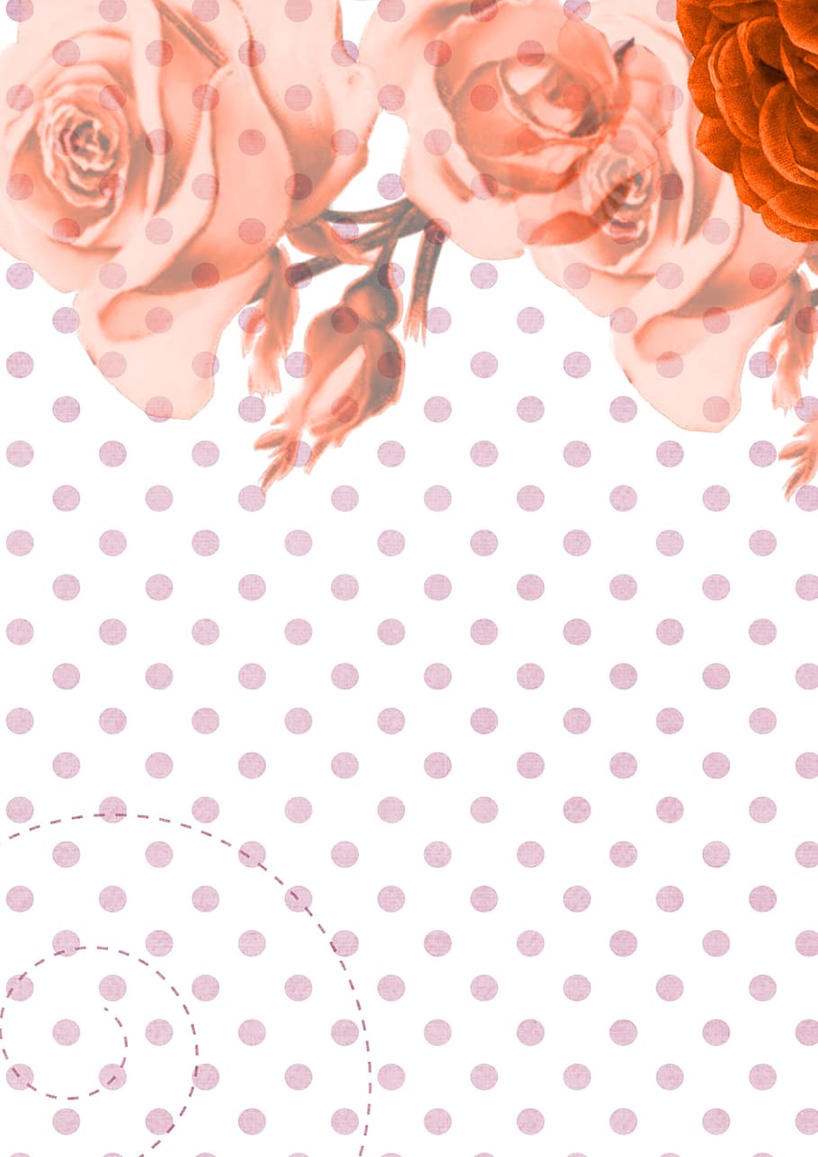 paper, flower, texture, design, indoors, pink color, pattern HD wallpaper