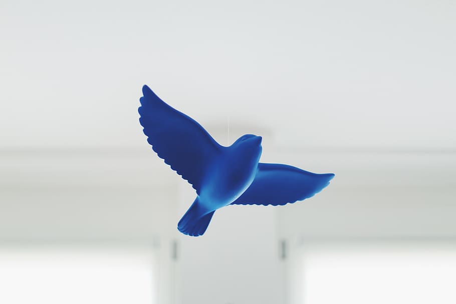 germany, stuttgart, fly, dream, bird, shine, interior, blue HD wallpaper